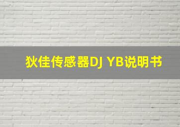 狄佳传感器DJ YB说明书